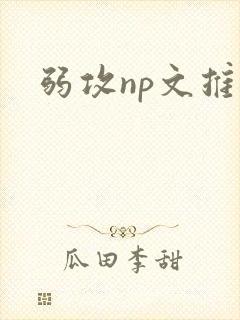 弱攻np文推荐
