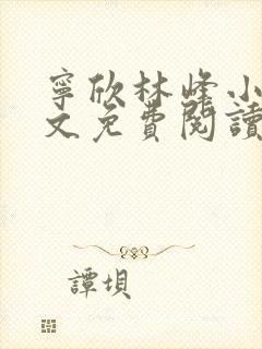 宁欣林峰小说全文免费阅读无弹窗