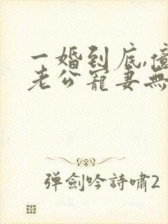 一婚到底,亿万老公宠妻无度