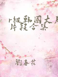 r级韩国大尺度片段合集