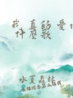 我 真的 爱你 什么歌