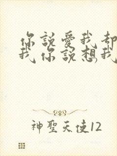 你说爱我却不陪我你说想我却不见我是什么歌