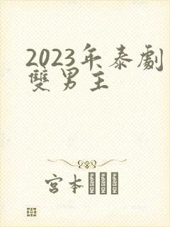 2023年泰剧双男主