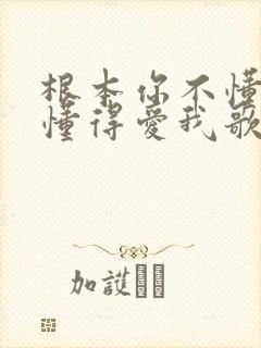 根本你不懂得不懂得爱我歌词