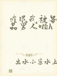 催眠我被各种极品男人啪h