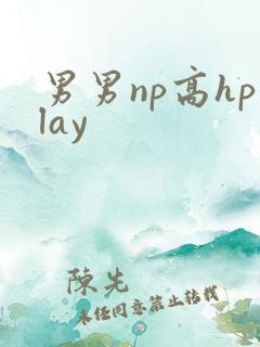 男男np高hplay
