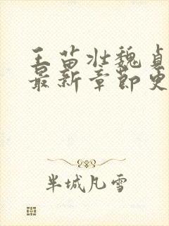 王苗壮魏贞小说最新章节更新时间