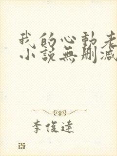 我的心动老板娘小说无删减版