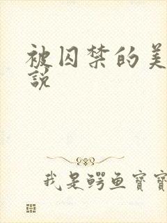 被囚禁的美人小说