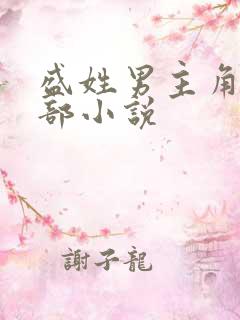 盛姓男主角的全部小说