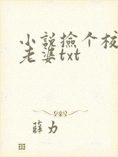 小说捡个校花做老婆txt