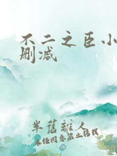 不二之臣小说无删减