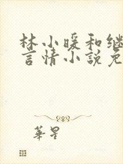 林小暖和继父的言情小说免费阅读