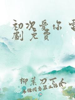 初次爱你 电视剧 免费