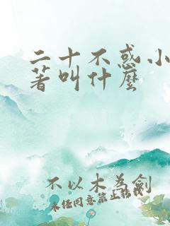 二十不惑小说原著叫什么