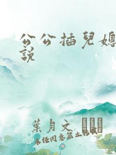 公公插儿媳妇小说