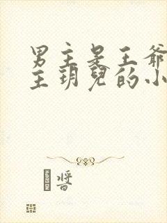 男主是王爷叫女主玥儿的小说