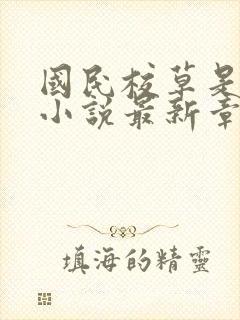 国民校草是女生小说最新章节