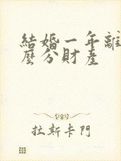 结婚一年离婚怎么分财产