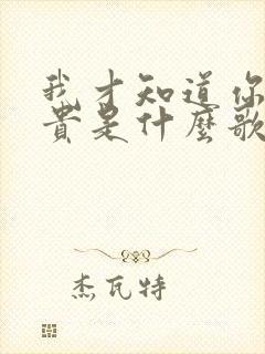 我才知道你最珍贵是什么歌的歌词