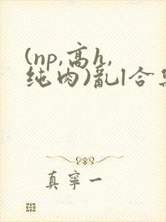 (np,高h,纯肉)乱l合集
