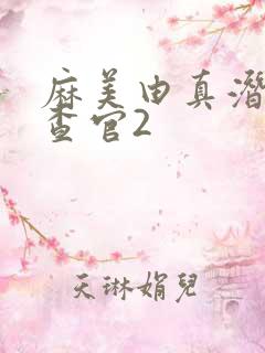 麻美由真潜入搜查官2