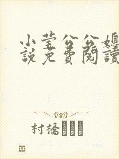 小莹公公媳妇小说免费阅读