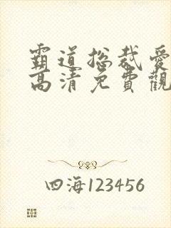 霸道总裁爱上我高清免费观看