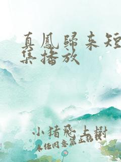 真凤归来短剧全集播放