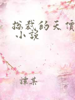 总裁的天价前妻 小说