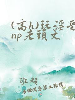 (高h)玩淫受np老头文