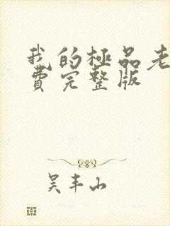 我的极品老婆免费完整版