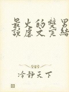 最火的双男主小说虐文完结受推文