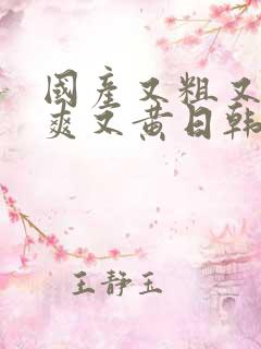 国产又粗又硬又爽又黄日韩色