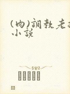 (肉)调教老总小说