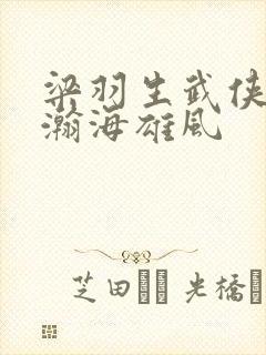 梁羽生武侠小说瀚海雄风