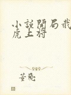 小说开局截胡五虎上将