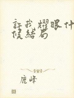 许我耀眼什么时候结局