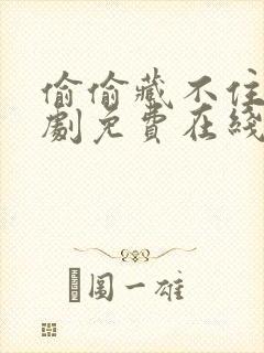 偷偷藏不住电视剧免费在线