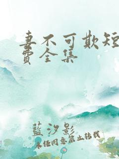 妻不可欺短剧免费全集