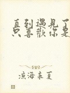 直到遇见了你我只喜欢你是什么歌