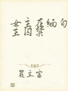 女主在缅甸被男主囚禁