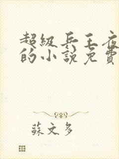 超级兵王夜风武的小说免费阅读