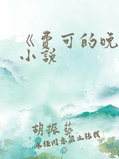 《费可的晚宴》小说