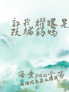 许我耀眼是小说改编的吗