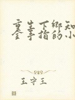 重生下乡知青带金手指的小说