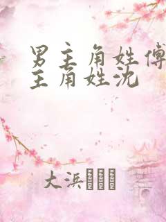 男主角姓傅,女主角姓沈