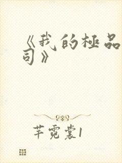 《我的极品女上司》