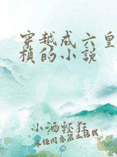 穿越成六皇子朱桢的小说