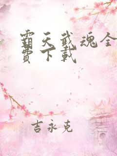 霸天武魂全本免费下载